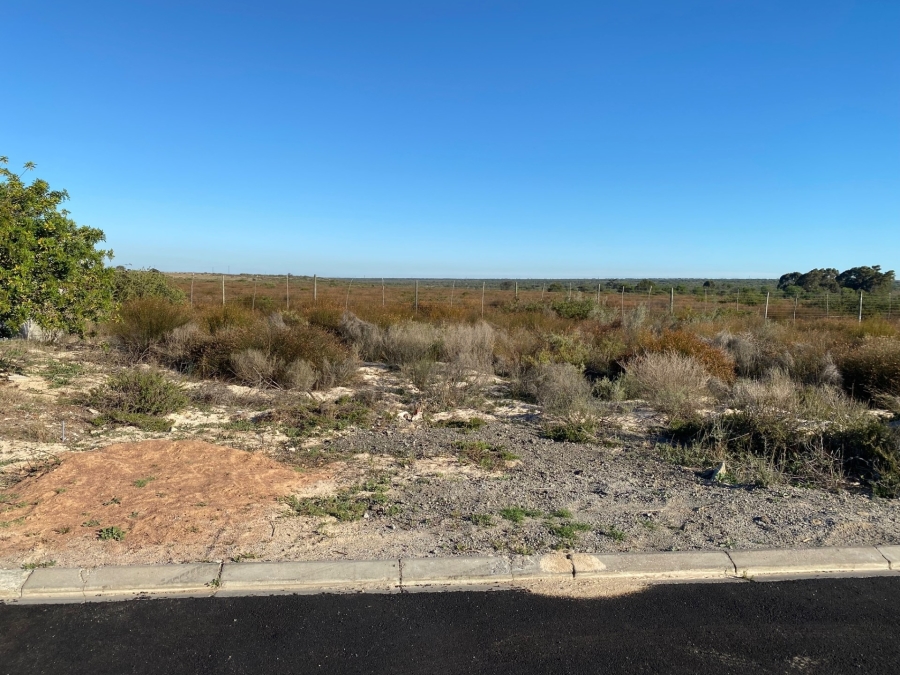 0 Bedroom Property for Sale in Hopefield Western Cape